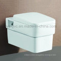 China Manufacturer Wall-Hung Toilet Bathroom Fittings Manufacturer